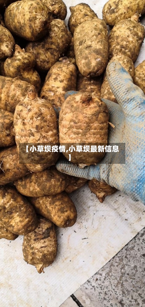 【小草坝疫情,小草坝最新信息】