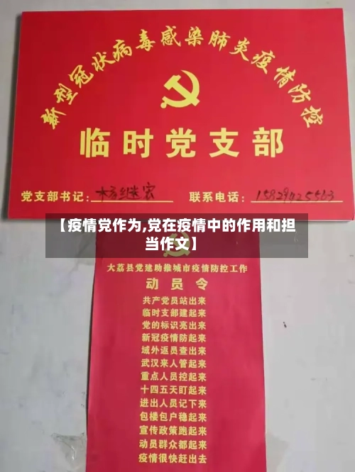 【疫情党作为,党在疫情中的作用和担当作文】