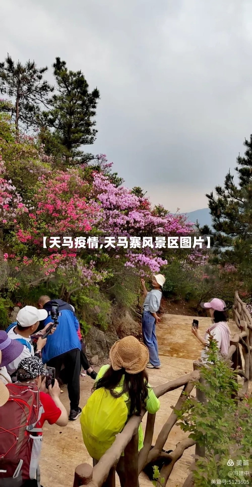 【天马疫情,天马寨风景区图片】