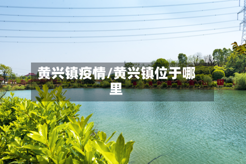 黄兴镇疫情/黄兴镇位于哪里
