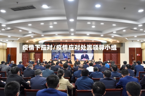 疫情下应对/疫情应对处置领导小组