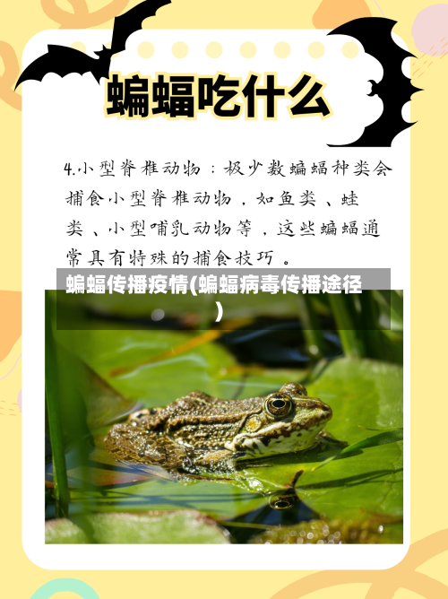 蝙蝠传播疫情(蝙蝠病毒传播途径)