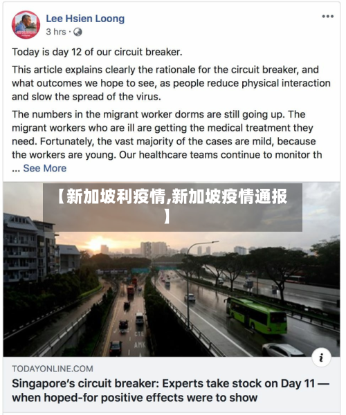【新加坡利疫情,新加坡疫情通报】