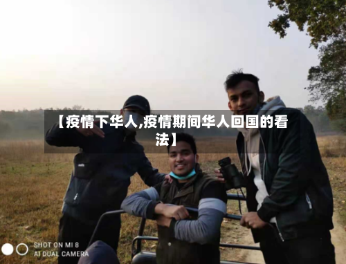 【疫情下华人,疫情期间华人回国的看法】