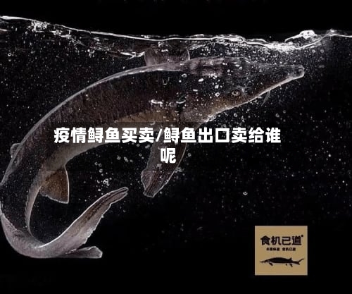 疫情鲟鱼买卖/鲟鱼出口卖给谁呢