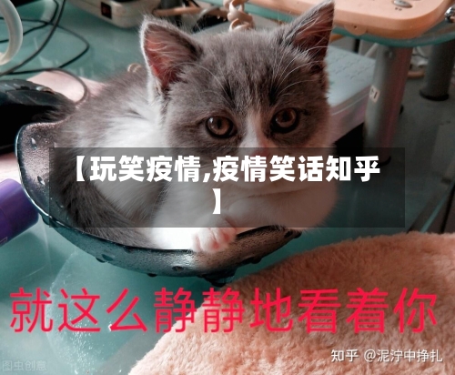 【玩笑疫情,疫情笑话知乎】