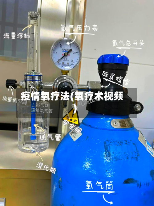 疫情氧疗法(氧疗术视频)