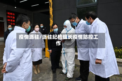 疫情派驻/派驻纪检组长疫情防控工作
