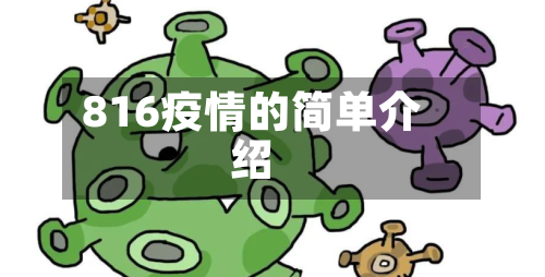 816疫情的简单介绍