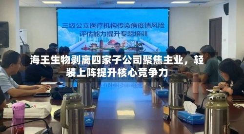 海王生物剥离四家子公司聚焦主业，轻装上阵提升核心竞争力