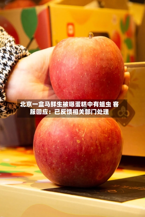 北京一盒马鲜生被曝蛋糕中有蛆虫 客服回应：已反馈相关部门处理