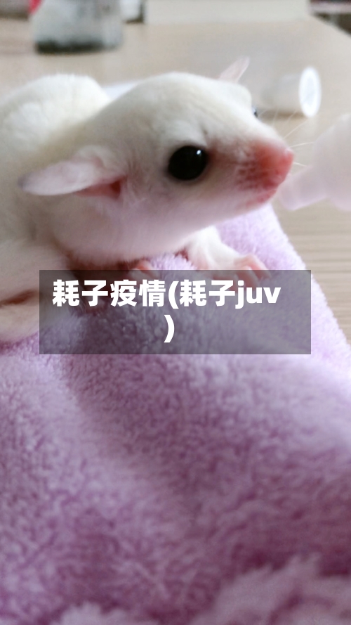 耗子疫情(耗子juv)