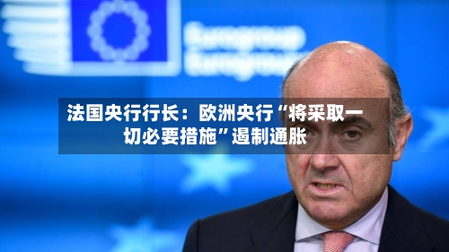 法国央行行长：欧洲央行“将采取一切必要措施”遏制通胀