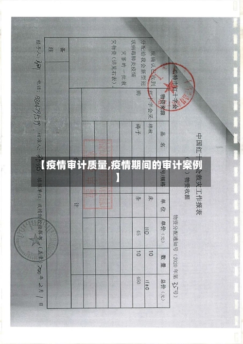 【疫情审计质量,疫情期间的审计案例】