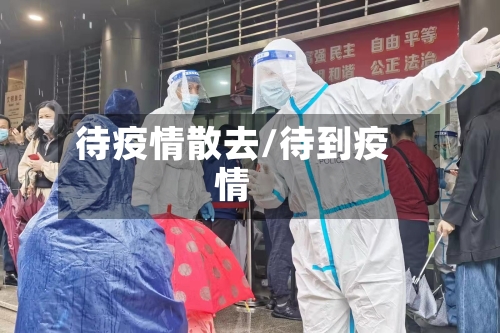 待疫情散去/待到疫情