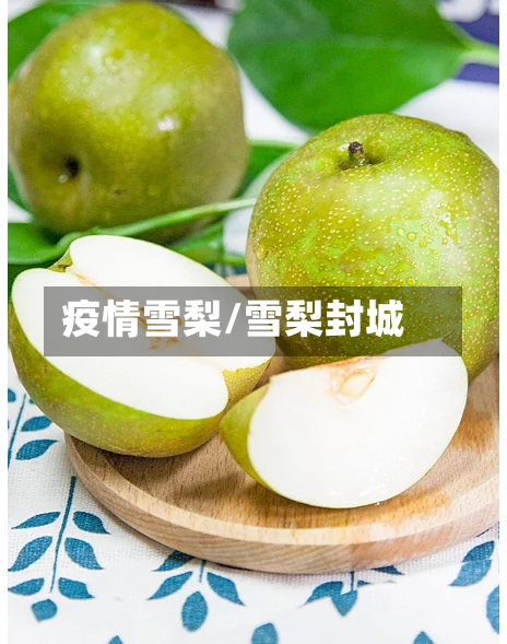 疫情雪梨/雪梨封城