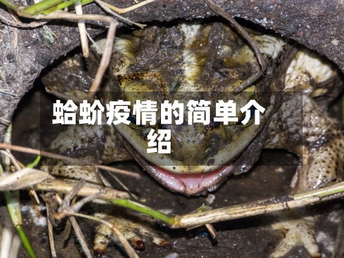 蛤蚧疫情的简单介绍