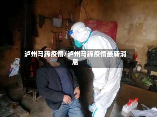 泸州马蹄疫情/泸州马蹄疫情最新消息