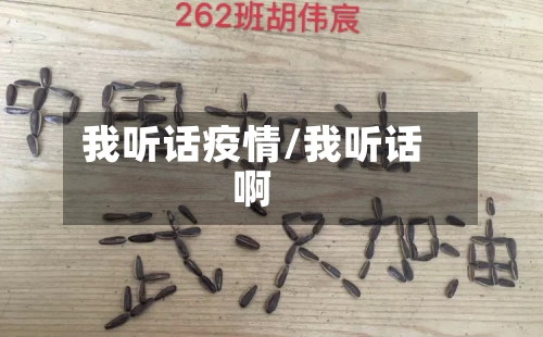 我听话疫情/我听话啊