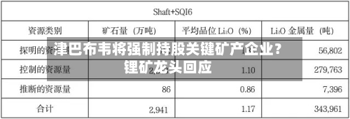津巴布韦将强制持股关键矿产企业？锂矿龙头回应