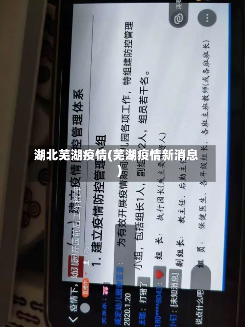 湖北芜湖疫情(芜湖疫情新消息)
