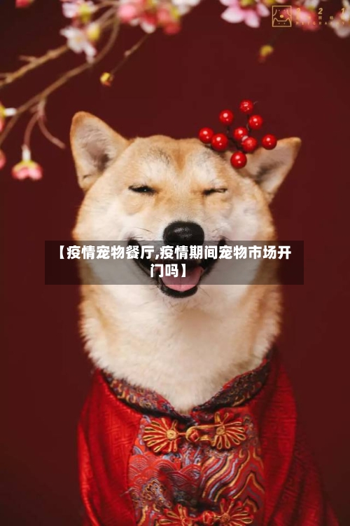 【疫情宠物餐厅,疫情期间宠物市场开门吗】