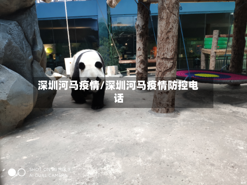 深圳河马疫情/深圳河马疫情防控电话