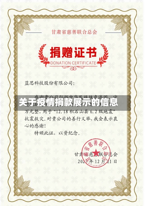 关于疫情捐款展示的信息