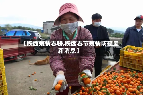 【陕西疫情春耕,陕西春节疫情防控最新消息】