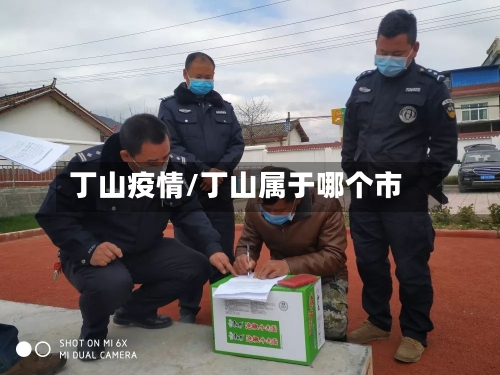 丁山疫情/丁山属于哪个市