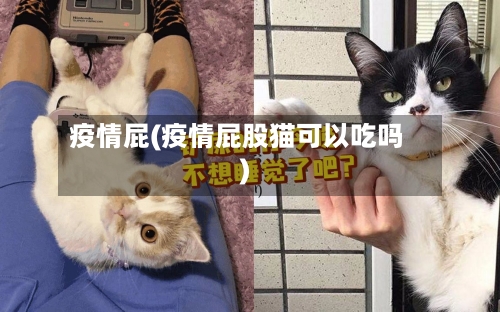 疫情屁(疫情屁股猫可以吃吗)