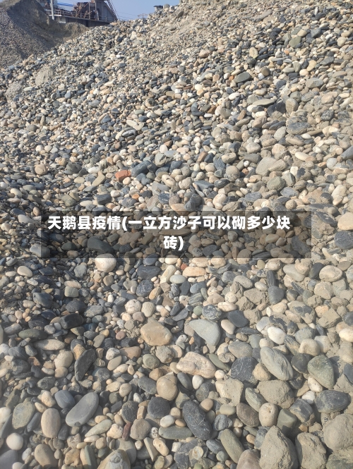 天鹅县疫情(一立方沙子可以砌多少块砖)