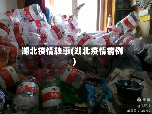湖北疫情轶事(湖北疫情病例)