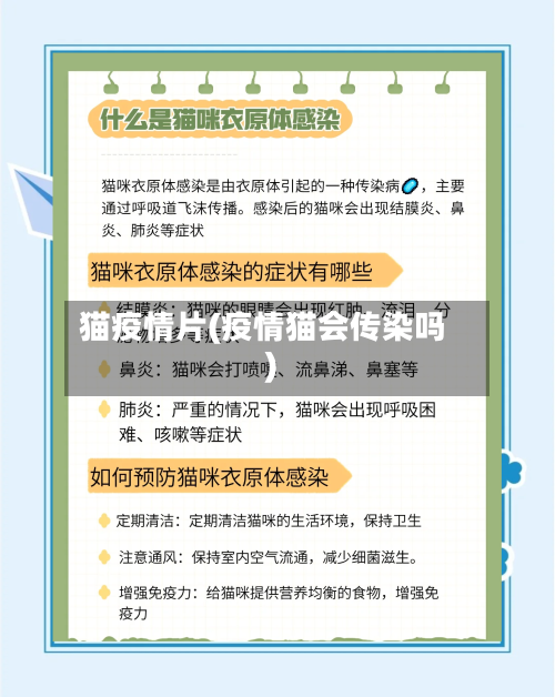 猫疫情片(疫情猫会传染吗)
