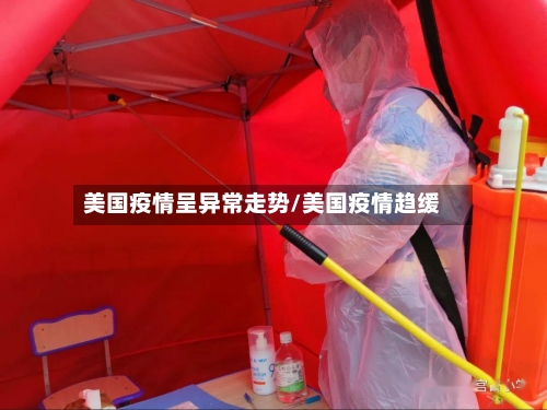 美国疫情呈异常走势/美国疫情趋缓-第1张图片
