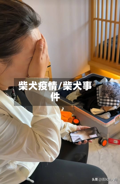 柴犬疫情/柴犬事件