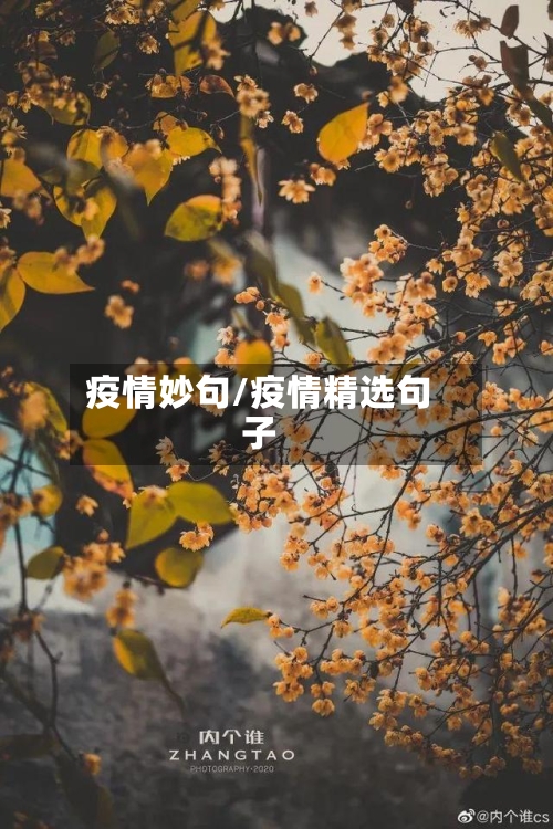 疫情妙句/疫情精选句子