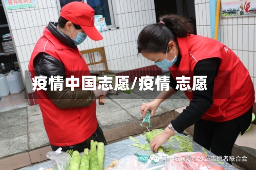 疫情中国志愿/疫情 志愿