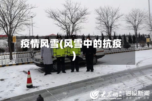 疫情风雪(风雪中的抗疫)