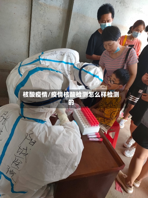 核酸疫情/疫情核酸检测怎么样检测的