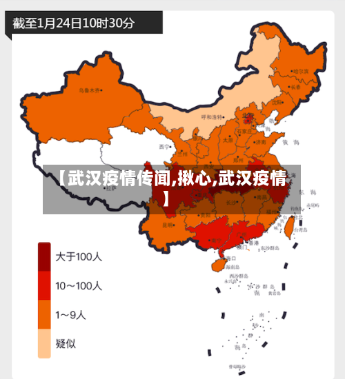【武汉疫情传闻,揪心,武汉疫情】