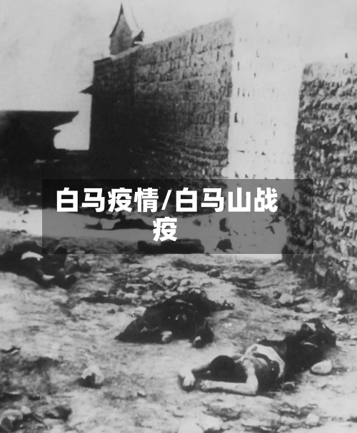 白马疫情/白马山战疫